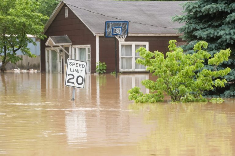 Feather River levee system near Yuba City, California, relevant to 2026-27 El Niño flood forecast