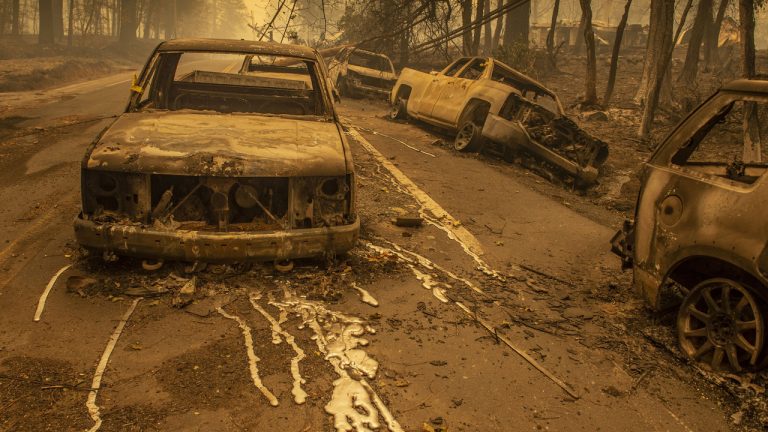 Home burned in wildfire