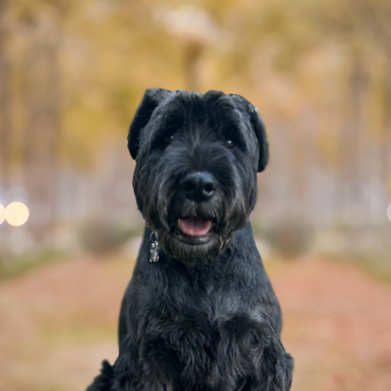 winston portrait (2)